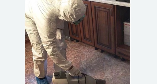 Уничтожение тараканов в квартире. Десногорск